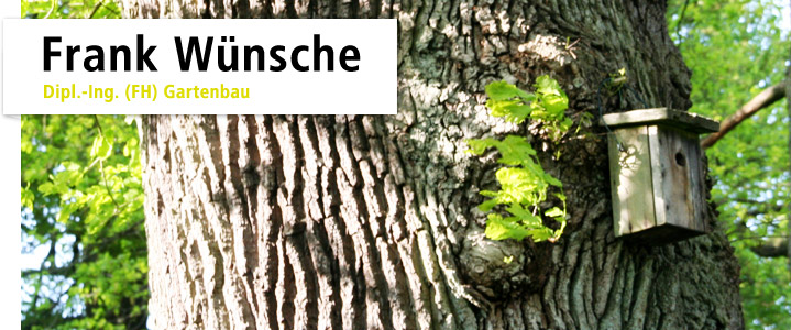 Frank Wünsche Hamburg Gartenbau Gartenberatung
