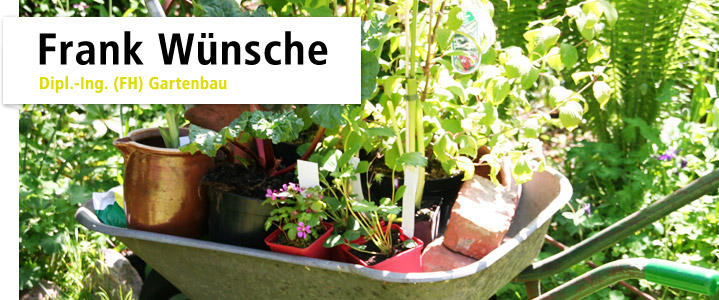 Gartengestaltung Hamburg Frank Wünsche