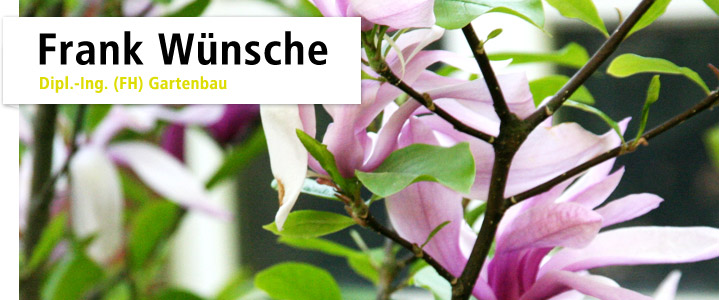 Beratung Gartenplanung Frank Wünsche