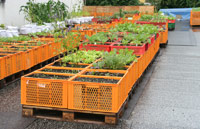 gartendeck hamburg